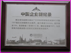 HC25型電動(dòng)葫蘆獲創(chuàng  )中國企業(yè)新紀錄。